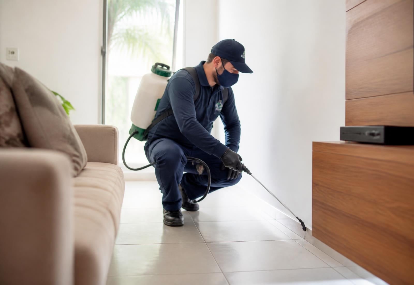 Técnico aplicando dedetização em residência